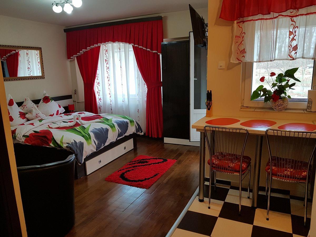 Garsoniera Lorelai Băile Felix エクステリア 写真