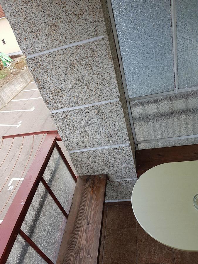 Garsoniera Lorelai Băile Felix エクステリア 写真