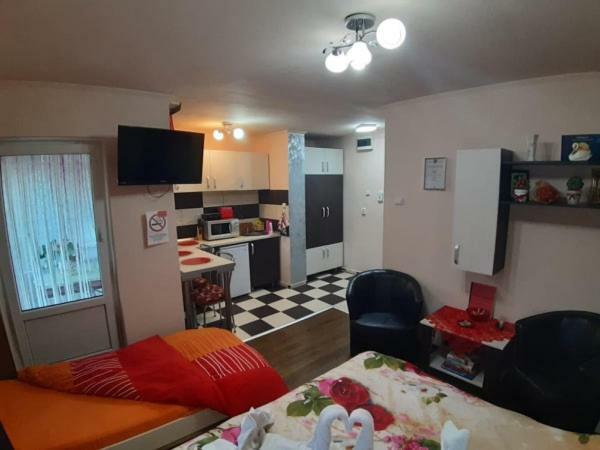 Garsoniera Lorelai Băile Felix エクステリア 写真