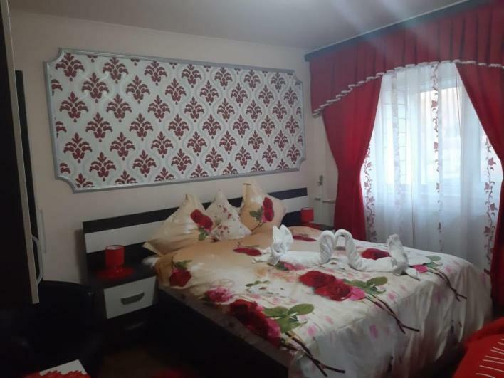 Garsoniera Lorelai Băile Felix エクステリア 写真