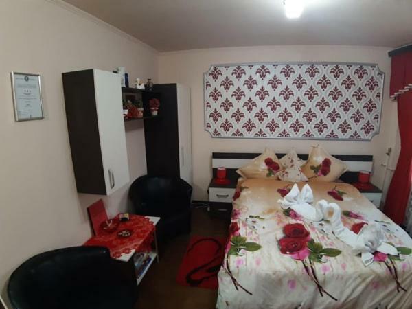 Garsoniera Lorelai Băile Felix エクステリア 写真